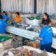 Em dois anos, país aumenta reciclagem de embalagens PET em 14%
