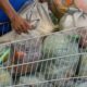 Aumento do Preço da Cesta Básica em 14 Capitais do Brasil em Março
