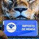 Consulta ao Lote da Malha Fina do Imposto de Renda é Aberta pela Receita