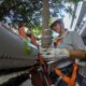 Venda da Oi Fibra: caso avança na Anatel, mas só deve ser julgado em 2025