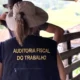 Lista Suja do Trabalho Escravo Atualizada com 155 Novos Empregadores Incluídos